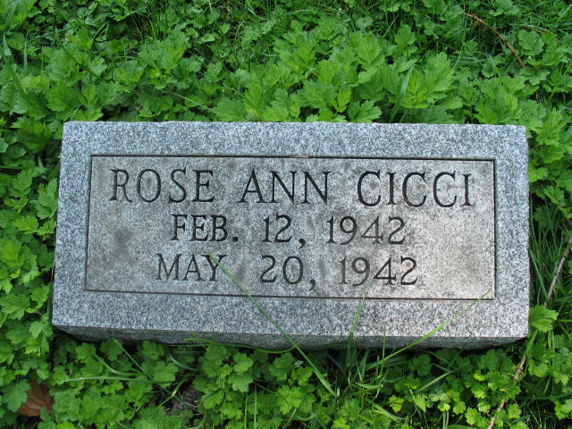 Rose Ann Cicci